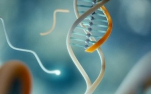 Kẹp DNA chẩn đoán đột biến di truyền gây ung thư